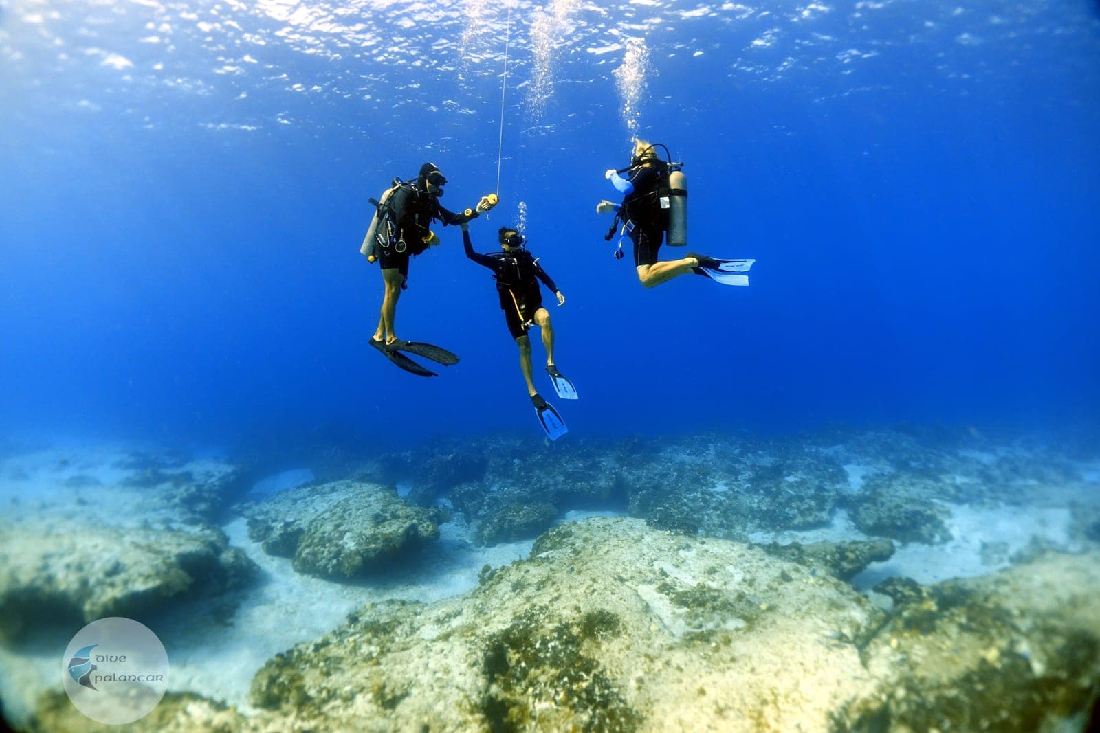 Curso Open Water PADI completo