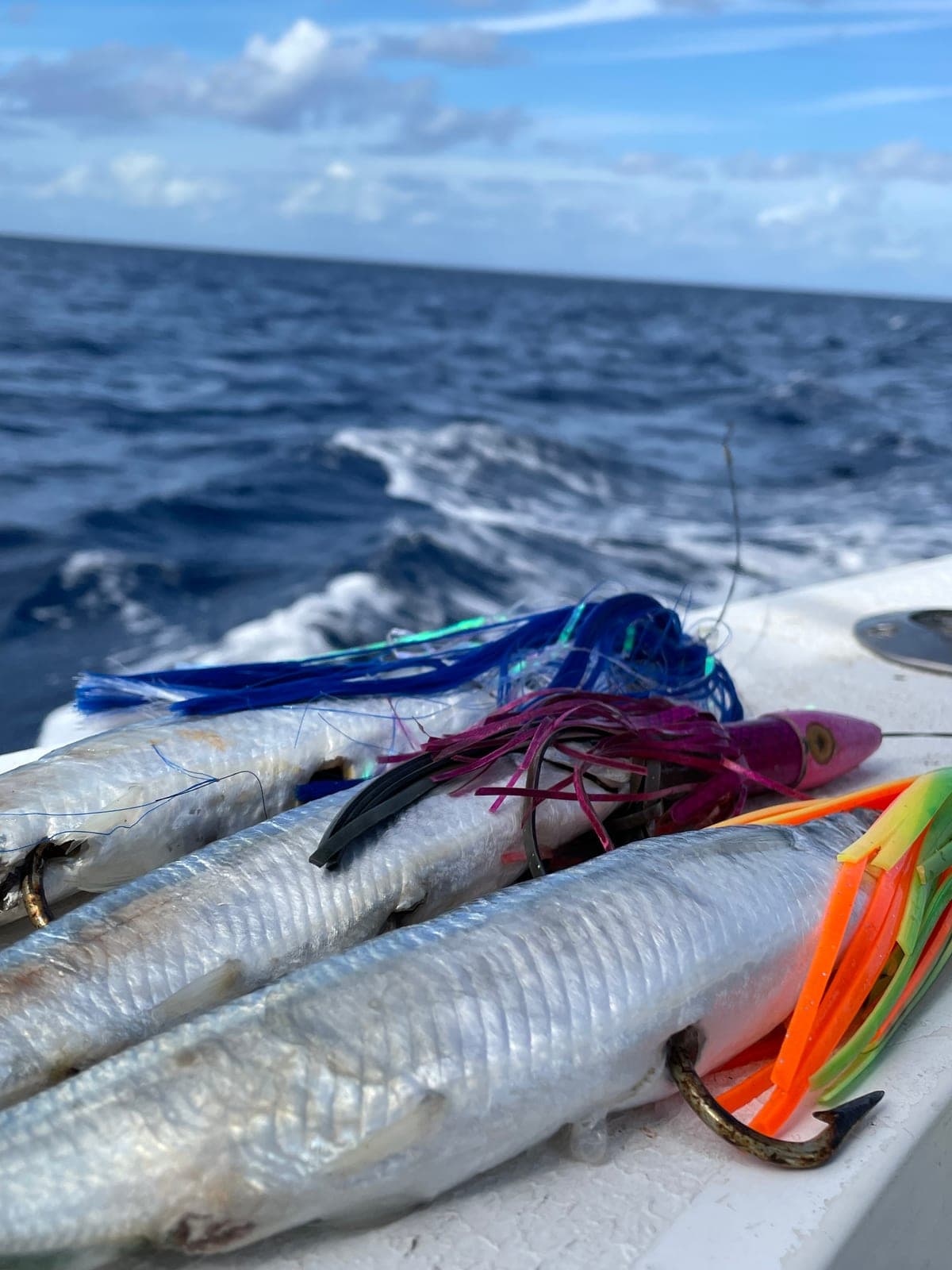 Pesca de media jornada 3