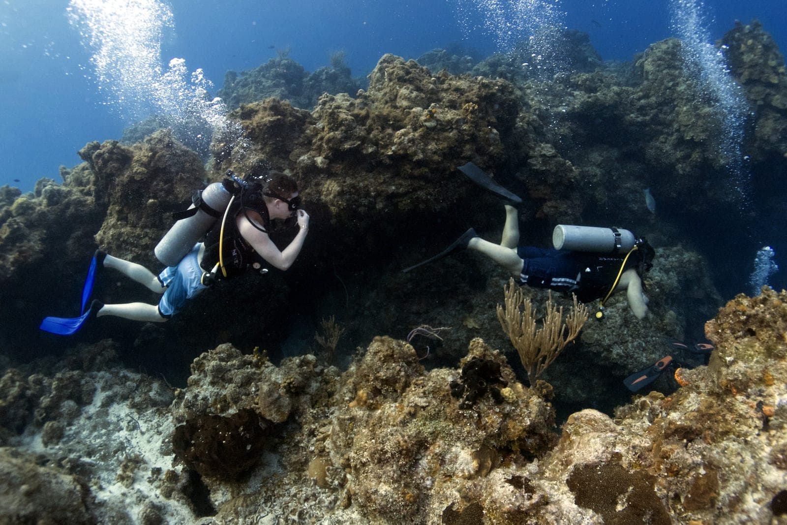 Descubre el Buceo: Experiencia completa 3
