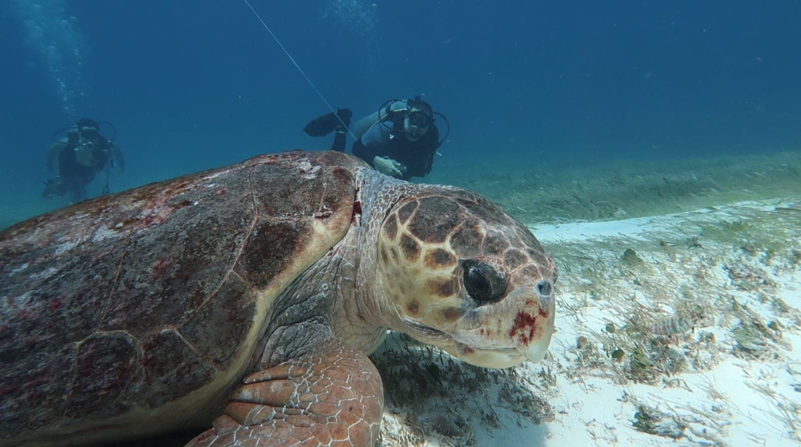 Curso Open Water PADI completo 3