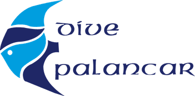 Dive Palancar