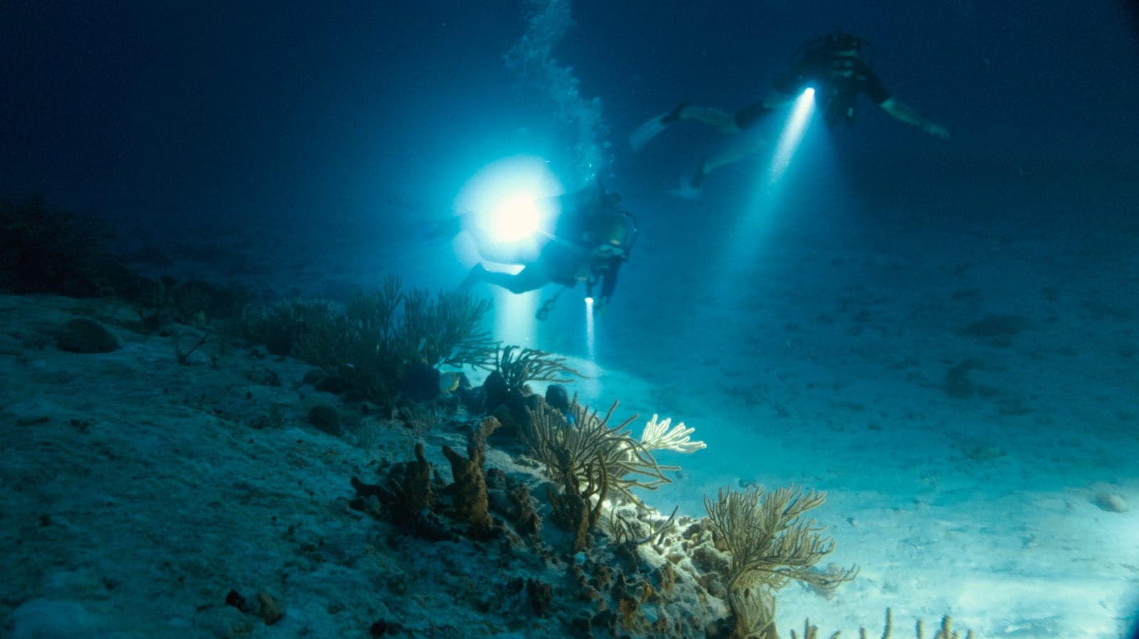 Buceo nocturno 1