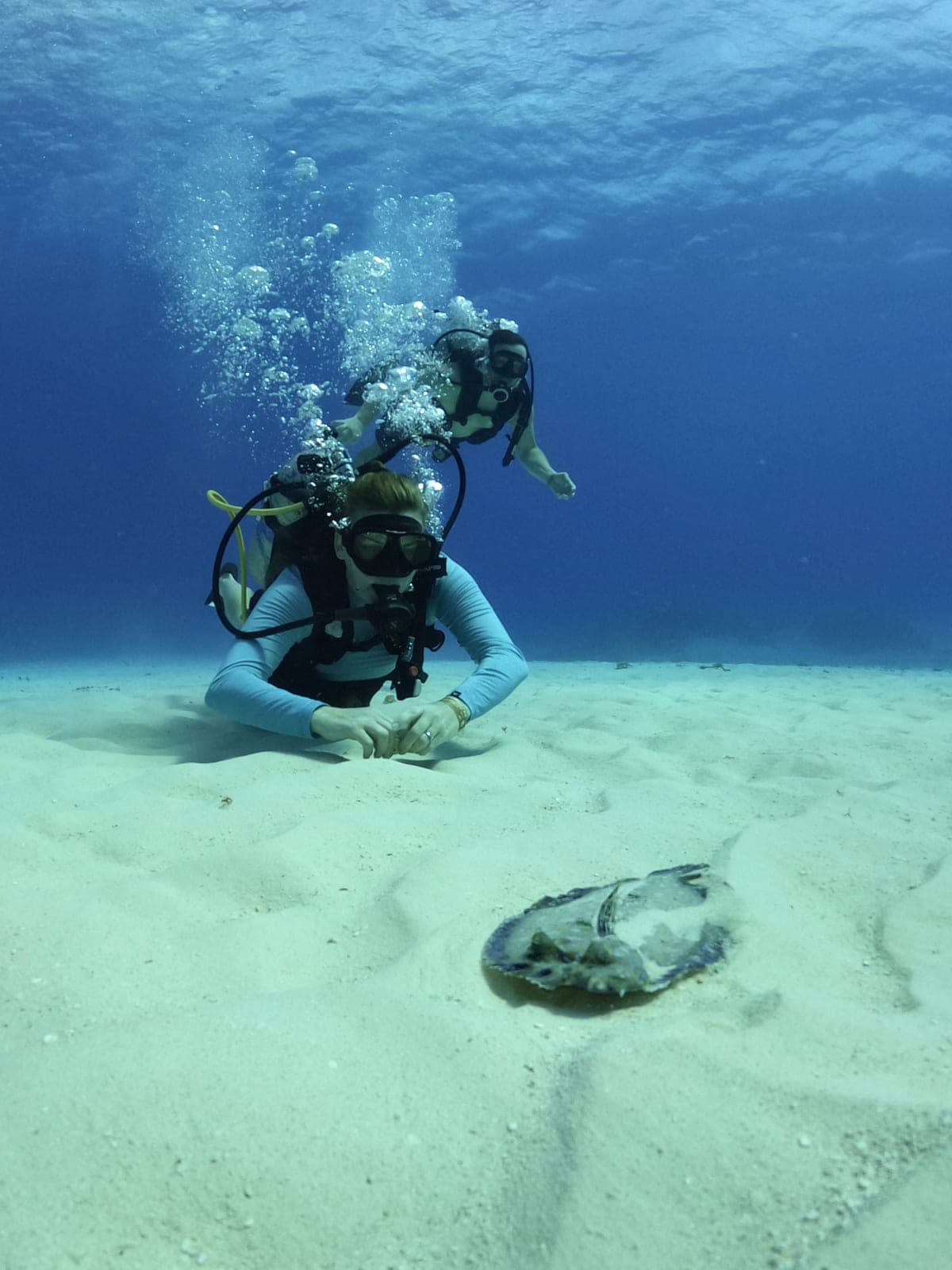 Descubre el Buceo en el arrecife