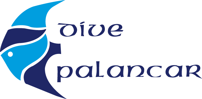 Dive Palancar Logo